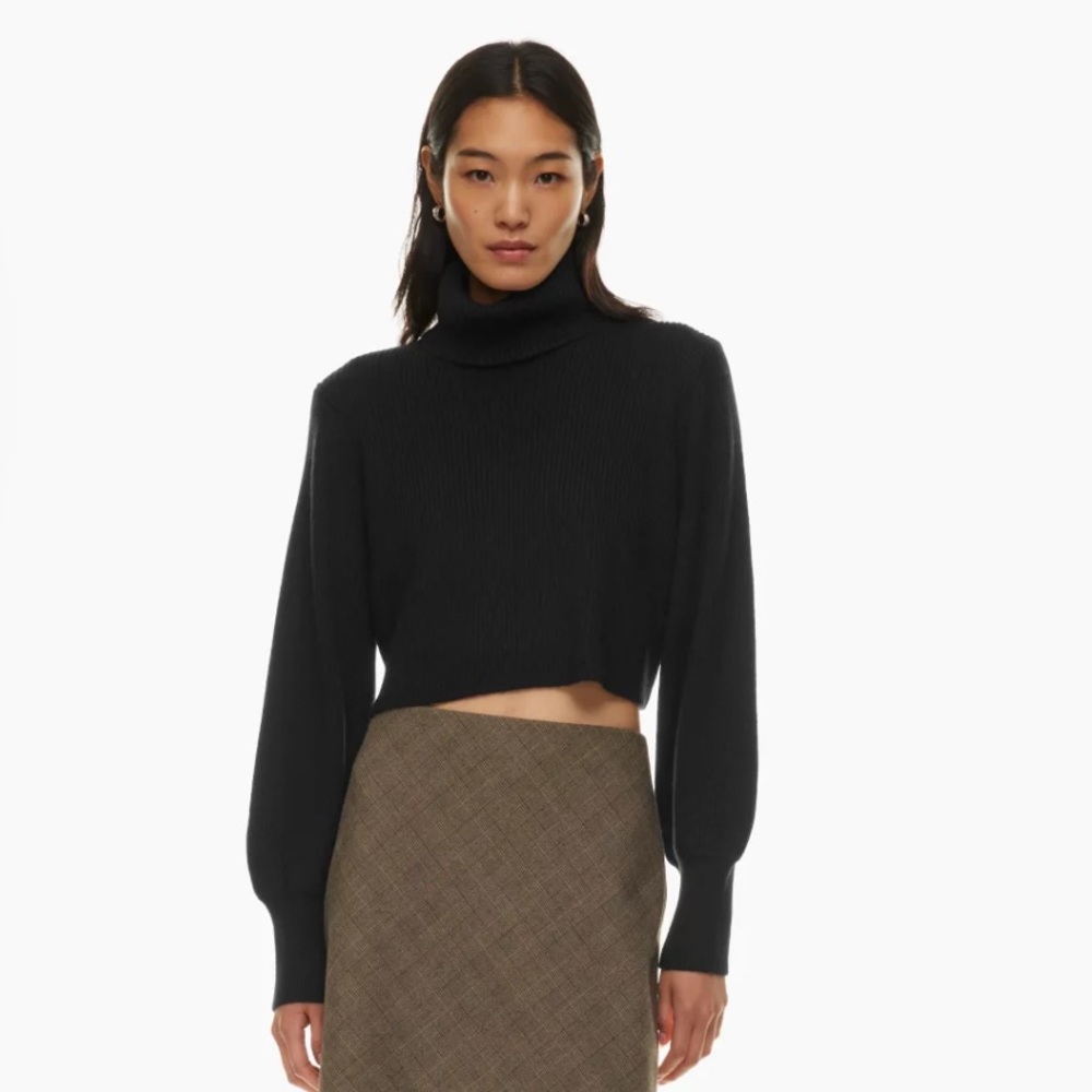 ARITIZIA (Wilfred) | cropped black turtleneck | small | black